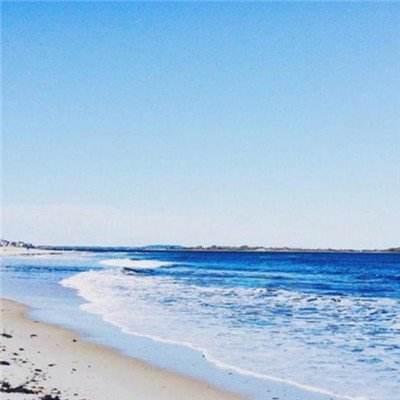 管家婆一码一肖资料大全下载手机版截图