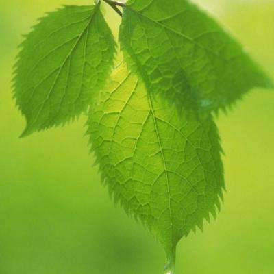 亚博·yaboapp下载