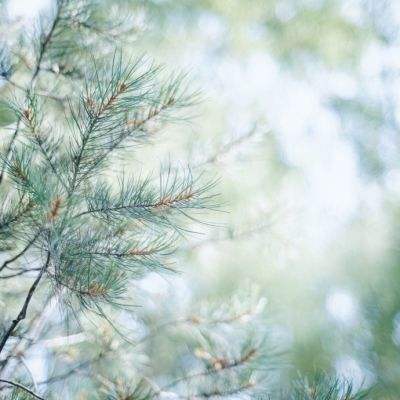 澳门一码一肖一特一中app下载