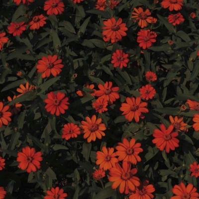 bat365在线唯一官网登录