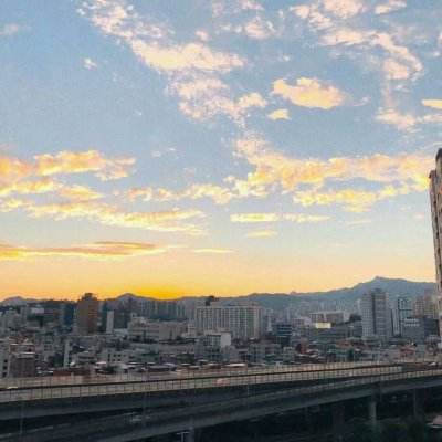 大四喜手机app下载