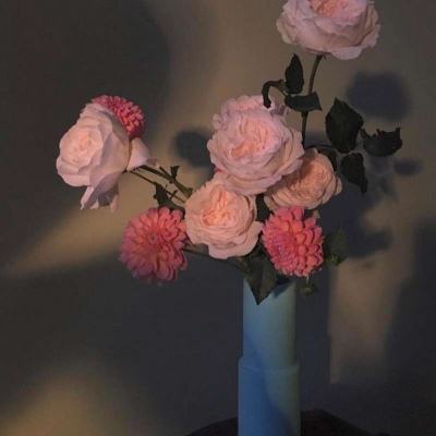 贝博app体育下载安装8499